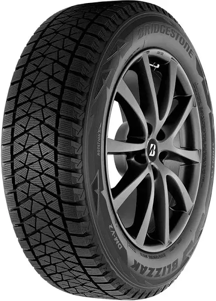 Bridgestone Blizzak DM-V2