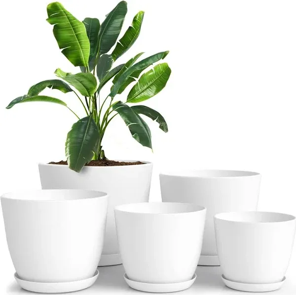 Utopia Home Plant Pots Pack of 5