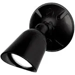 WAC Lighting Endurance Single LED Spot Light in Black