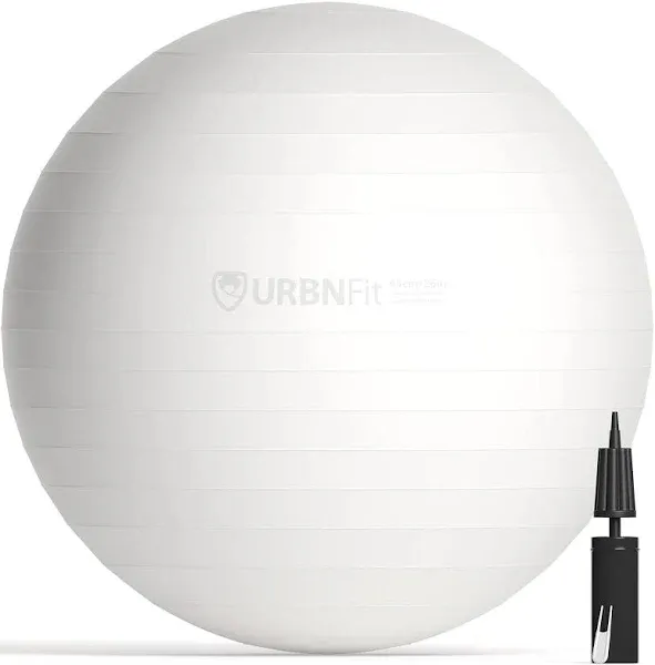 URBNFit Exercise Ball 65 cm for Stability & Yoga - Workout Guide...