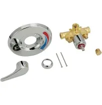 Zurn Wilkins TempGard Tub and Shower Valve Z7300-SS-MT