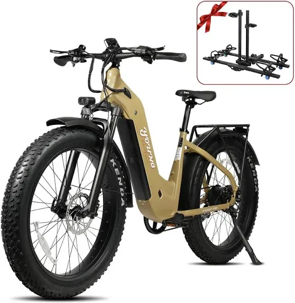 Young Electric E-Scout Pro Step-Through Electric Off-Road Fat Tire Bike