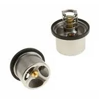 Mahle Behr 11537836155, THD179 Thermostat; 79 Degree C SKU: 1444352-11537836155 - BMW | W01331781633 W01331781663