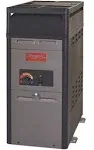 Raypak 105,000 BTU Pool and Spa Heater / Riser - Propane