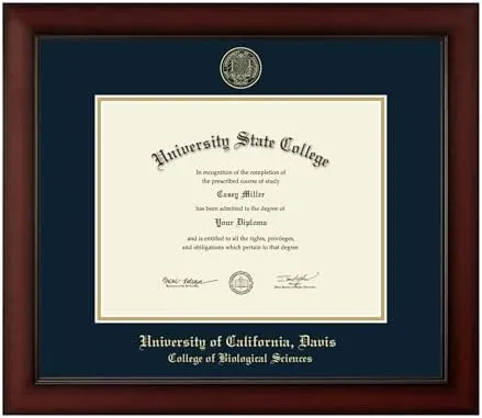 Church Hill Classics Masterpiece Diploma Frame