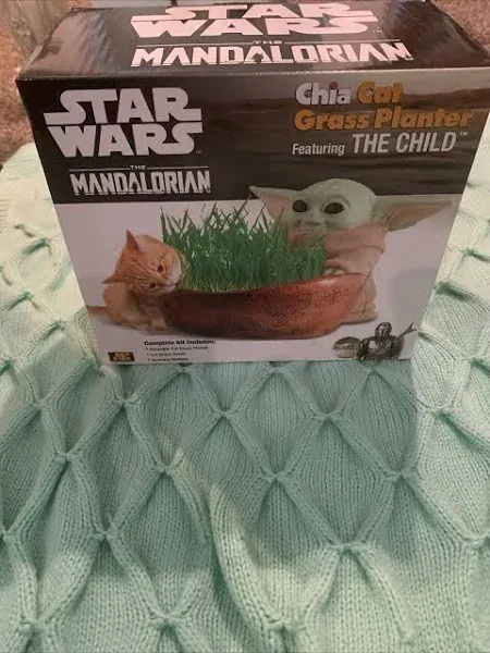 NEW Chia Pet  Planter GROGU CHILD Star Wars The Mandalorian Cat Grass Seeds