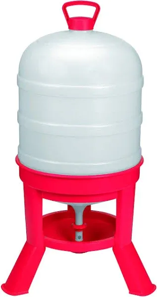 Little Giant Dome Waterer Plastic 10 Gal