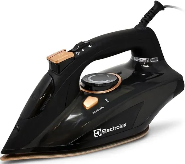 Electrolux Professional Steam Iron