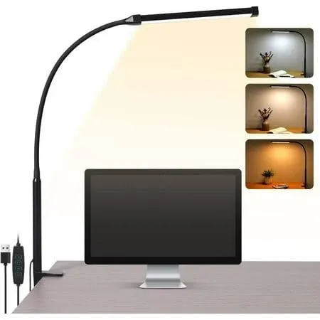 Voncerus LED Desk Lamp