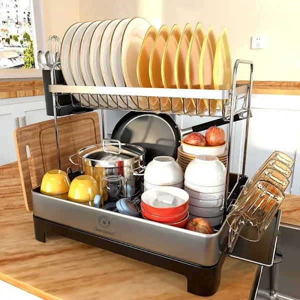 Genteen Steel Dish Rack