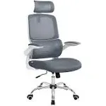 VASAGLE Ergonomic Design High Back Desk Chair