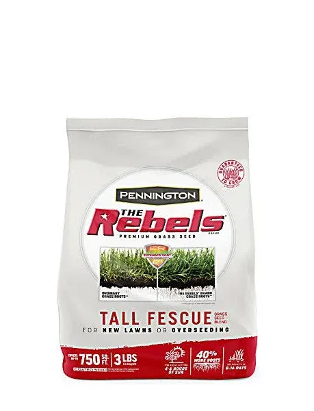 Pennington Rebels Tall Fescue Grass Seed