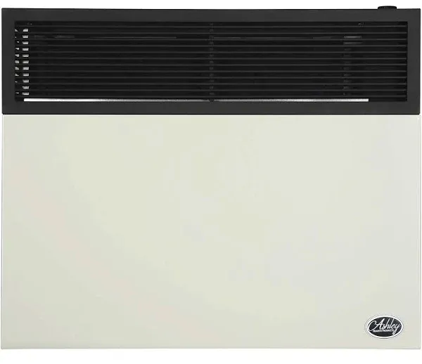 Ashley 25,000 BTU Direct Vent Propane Wall Heater DVAG30L