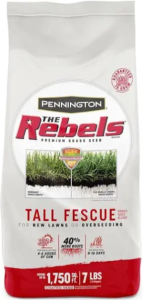 Pennington Rebels Tall Fescue Grass Seed