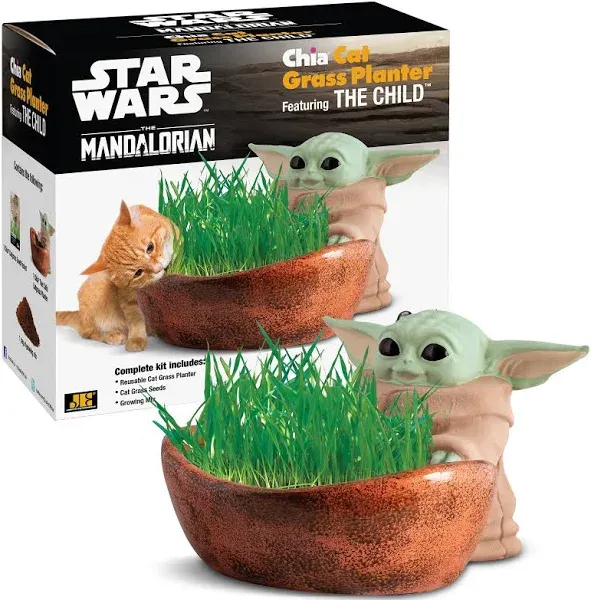 Star Wars GROGU The Child The Mandalorian Chia Pet Cat Grass Reusable Planter