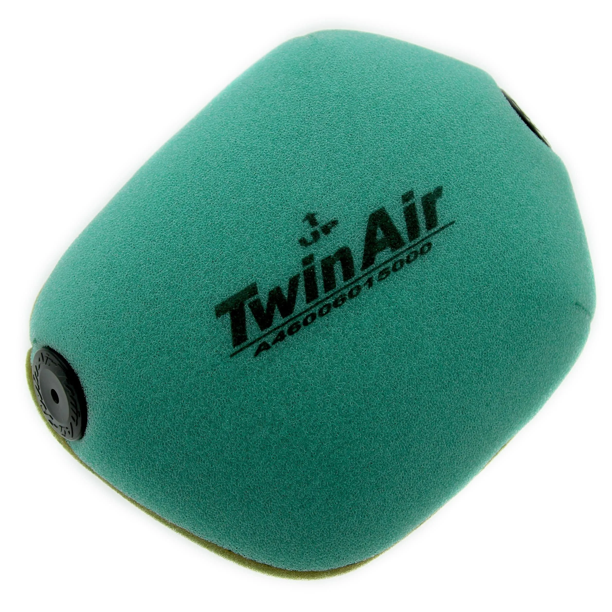 Twin Air Air Filter