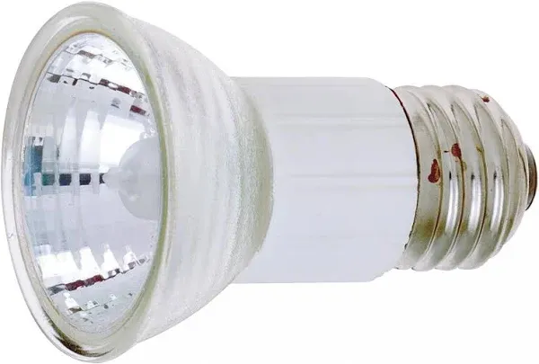 Satco Light Bulb in Clear - S3139