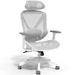 Staples Dexley Ergonomic Mesh Swivel Task Chair, Gray