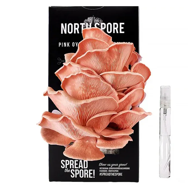 North Spore Organic Pink Oyster Spray & Grow Mushroom Growing Kit