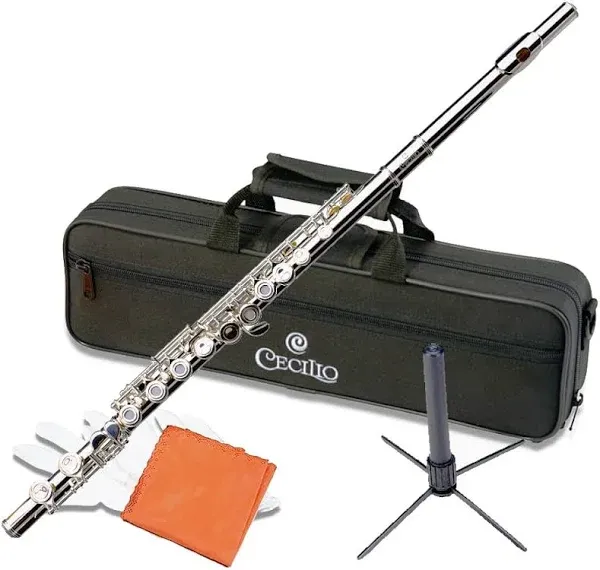 Cecilio High Grade Student C Flute