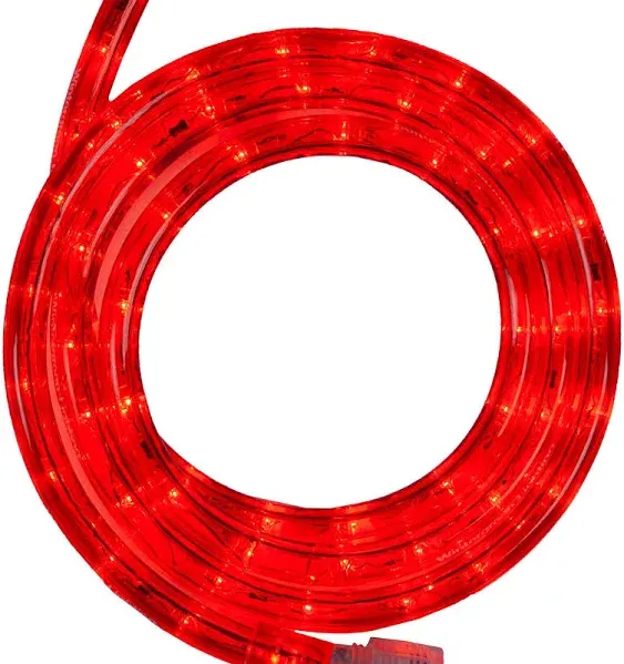 Wintergreen Lighting 18' LED Rope Light