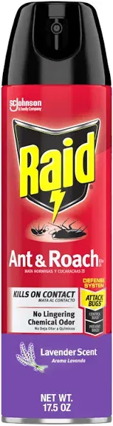 Raid Ant & Roach Killer Fragrance Free 17.5 oz