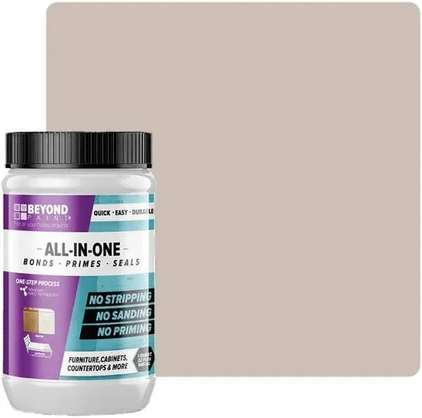 Beyond Paint All-in-One Matte Sand Water-Based Paint