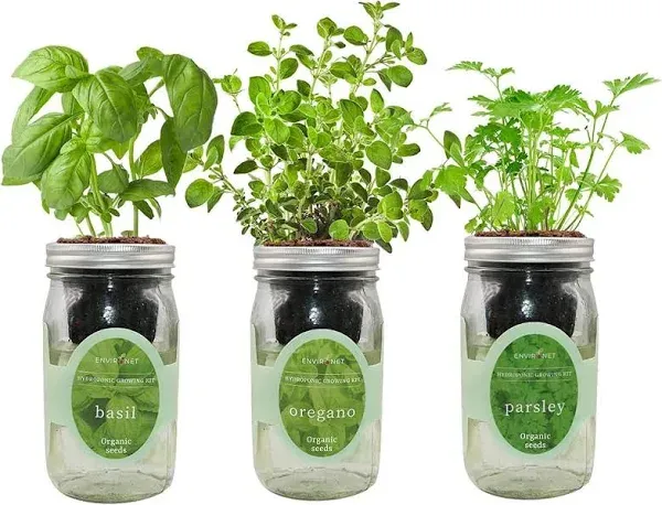 Environet Hydroponic Herb Growing Kit Set Self-Watering Mason Jar Herb Garden Starter Kit Indoor