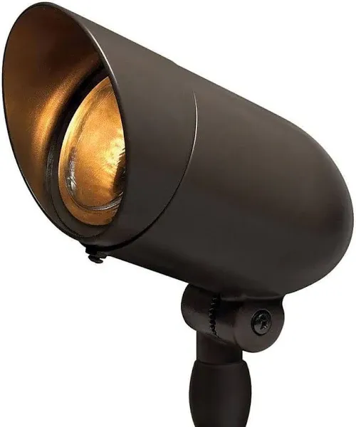 Hinkley Lighting 54000BZ Line Voltage Landscape Spot Light Bronze