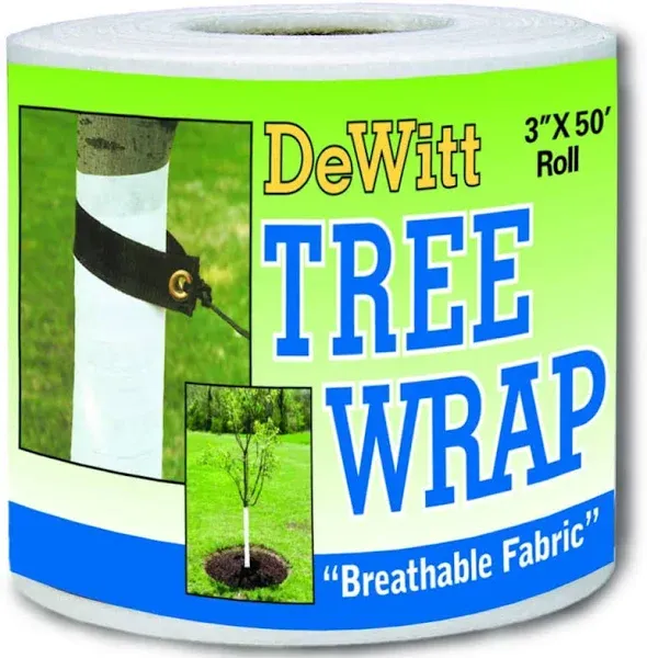 🔥 DeWitt Tree Wrap White