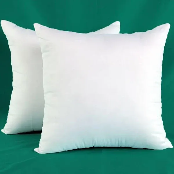 Alwyn Home Set of 2 Decorative Throw Pillow Inserts