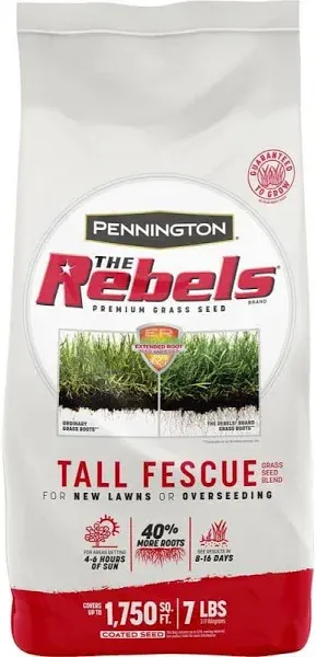 Pennington Rebels Tall Fescue Grass Seed