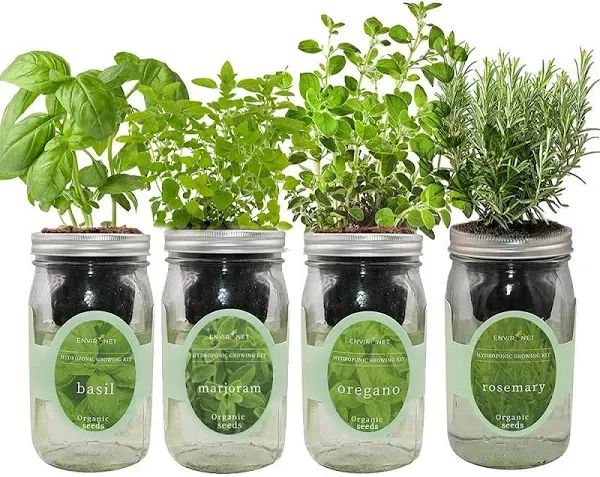 Environet Hydroponic Mason Jar Indoor Garden Organic Seed Starter Kits - Italian Herb Blend Growing Kits, Windowsill Herb Garden, Gardening Gift