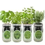 Environet Hydroponic Mason Jar Indoor Garden Organic Seed Starter Kits - Italian Herb Blend Growing Kits, Windowsill Herb Garden, Gardening Gift