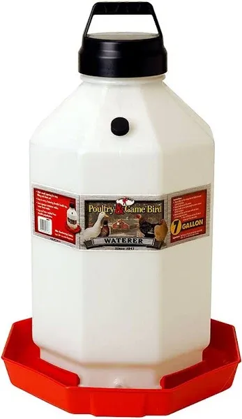 Auto Poultry Waterer, 7 gallon