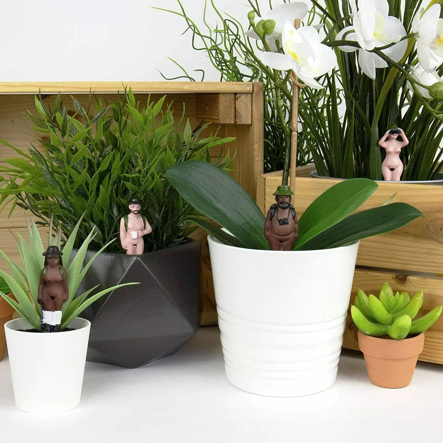 Gift Republic - Mini Plant Pot Naked Ramblers