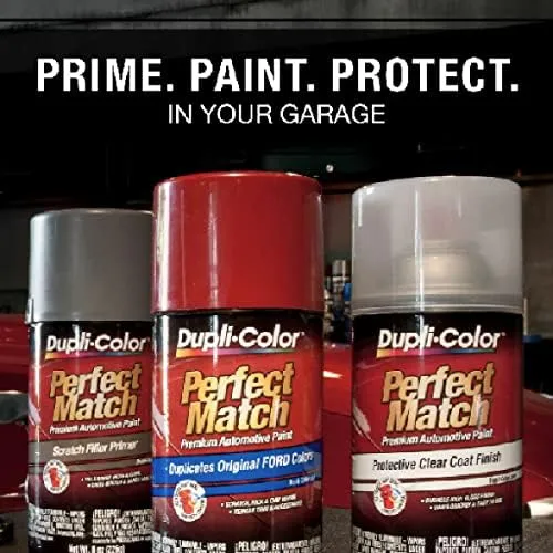 Dupli-color Exact-Match Automotive Paint