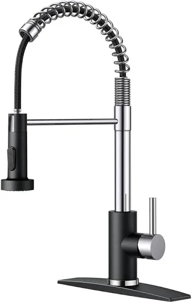 FORIOUS Kitchen Faucet with Pull Down Sprayer