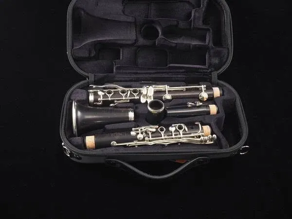 Buffet Crampon R13 Professional Bb Clarinet Keys