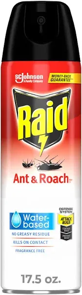 RAID Ant And Roach Killer 26 Water Based - 17.5 Oz