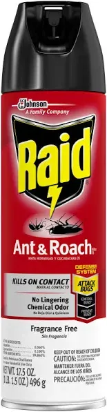 Raid Ant & Roach Killer Fragrance Free 17.5 oz