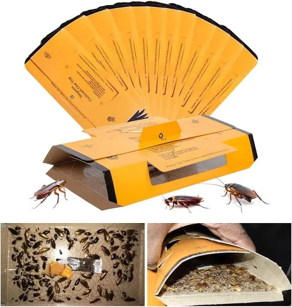 Stingmon 18 Pack Roach Killer Indoor Infestation, Cockroach Killer Indoor Home, Roach Traps Indoor Sticky, Roach Bait Cockroach Trap for Roach Ants Spiders Orange