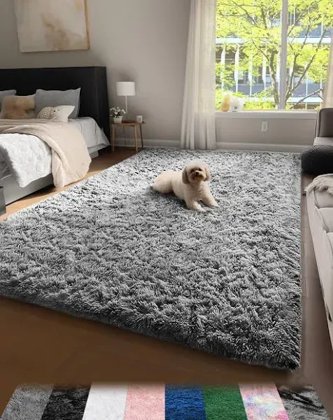 Rugs for Bedroom, Machine Washable Fluffy Shaggy Soft Area Rug, Non-Slip Indo...