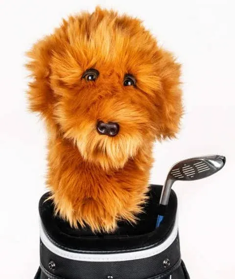 Daphne's Doodle Dog Driver Headcover