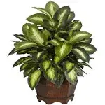 Nearly Natural Golden Dieffenbachia Silk Plant