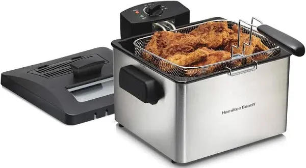 Hamilton Beach Professional-Style Deep Fryer