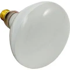 500W 120V R40 Med Base Bulb