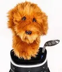 Daphne's Doodle Dog Driver Headcover