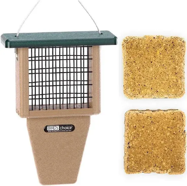 Poly-Lumber Prop Suet Feeder for Birds - Include 2 Bonus Suet Cake Cage Feeder Packs -Premium Insect and Peanut Suet Cakes for Feeder Basket Holder, Green/Brown, 12"L x 8"W X 3"D (sntp)