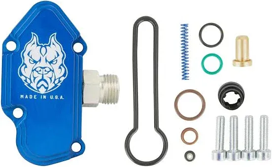 Sinister Diesel Fuel Reg Spring, Blue